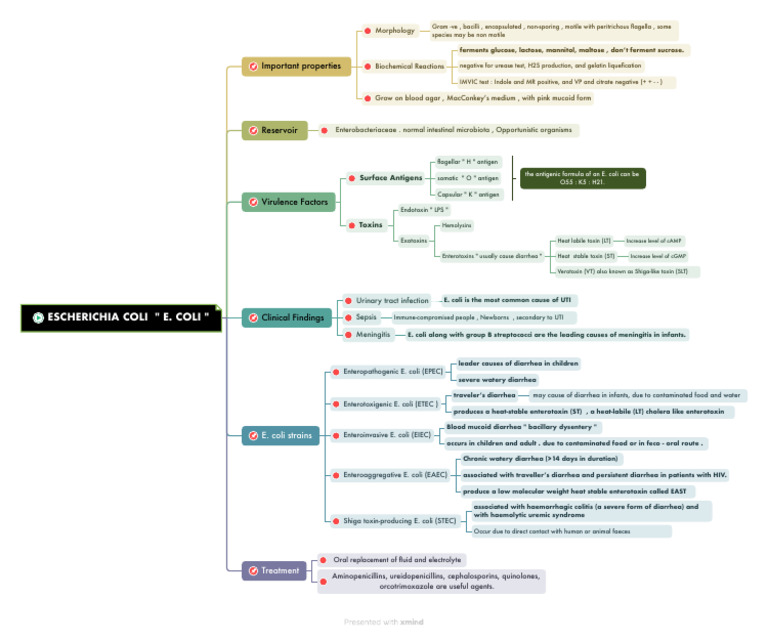 E. Coli Algorithm | PDF | Escherichia Coli | Microbiology