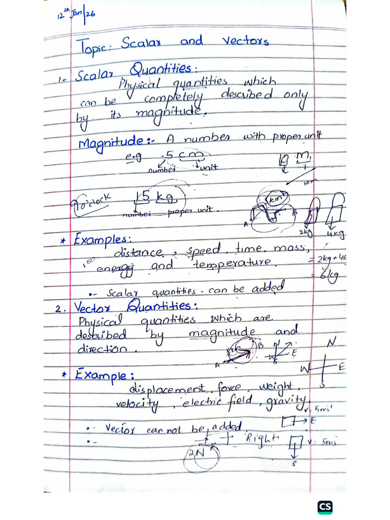 Scalar and Vector Quantities | PDF