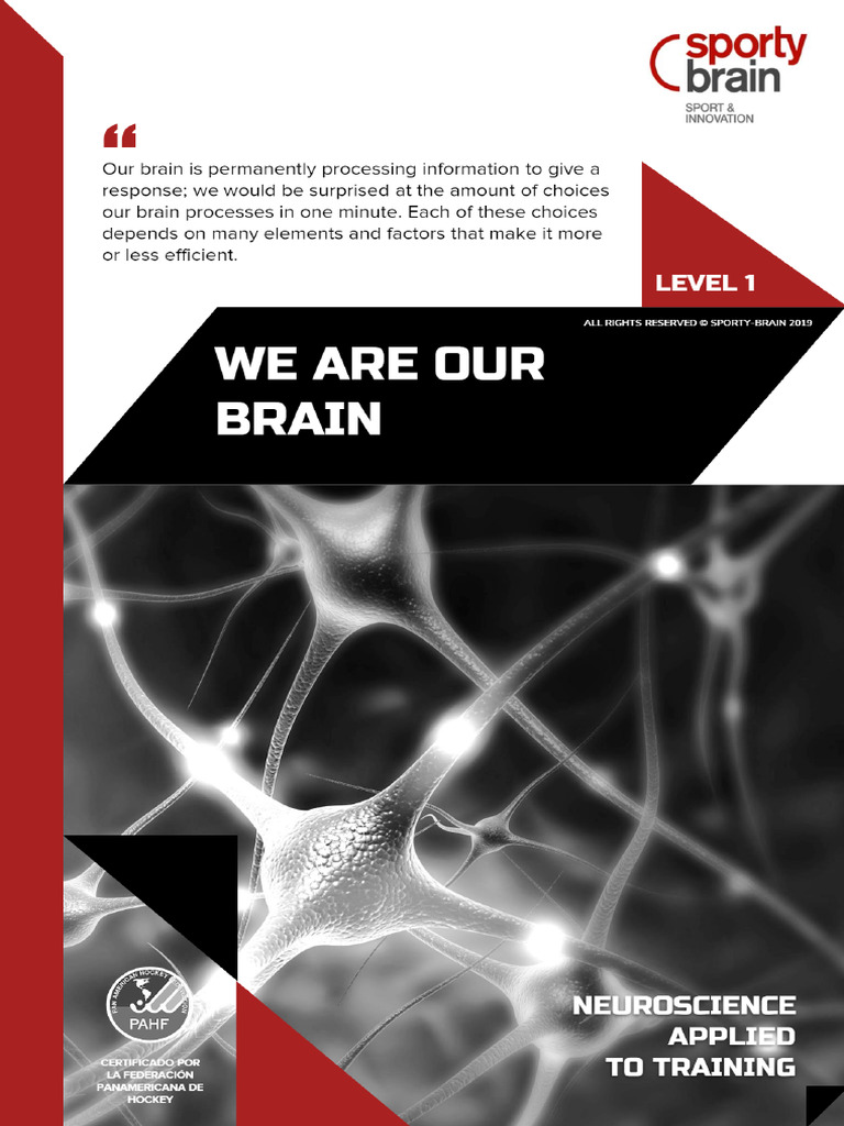 MODULE 2 C - We Are Our Brain | PDF