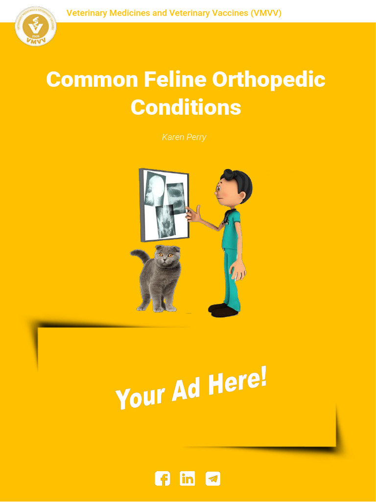 Common Feline Orthopedic Issues Explained | PDF | Hip | Anatomical ...