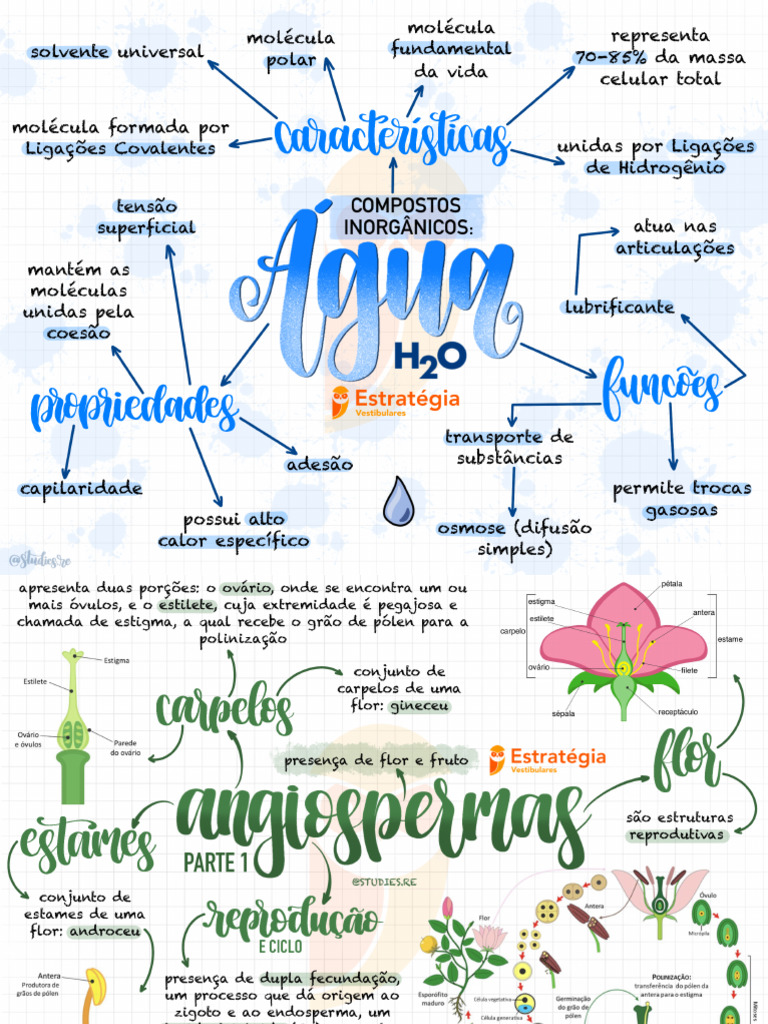 Mapas Biologia - Parte 2 | PDF
