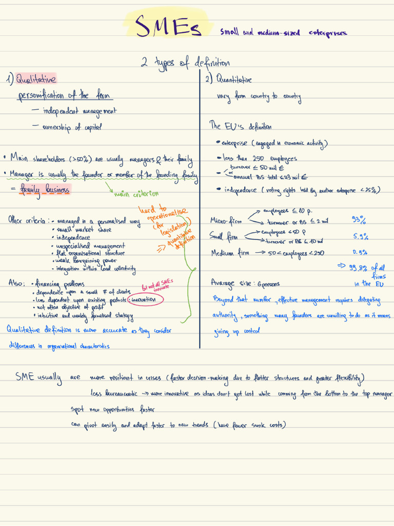 SMEs | PDF