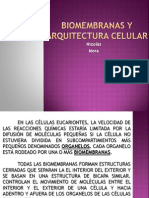Biomembranas y Arquitectura Celular (Pptminimizer)