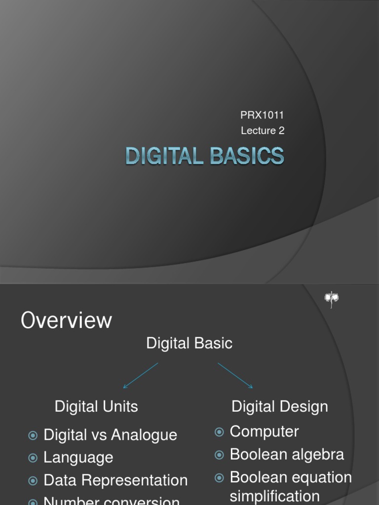 Digital vs Analogue: Data Basics Explained | PDF | Byte | Bit