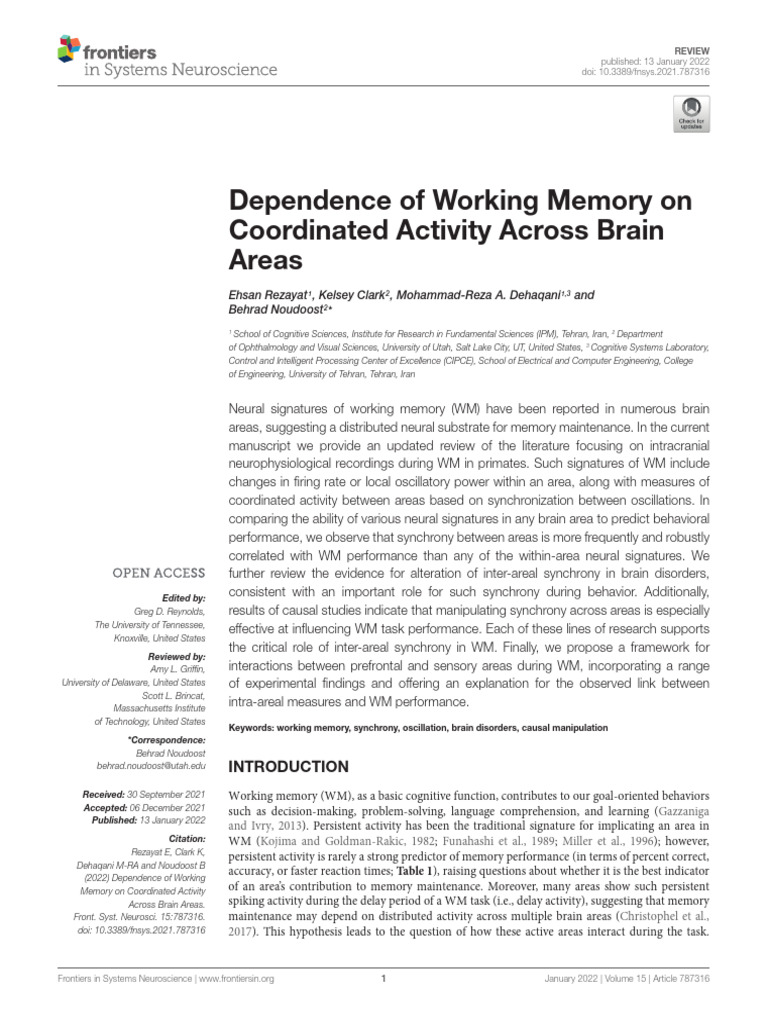 Working Memory and Brain Area Synchrony | PDF | Neural Oscillation ...
