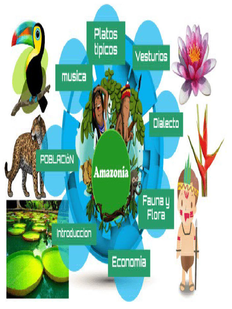 Region de La Amazonia | PDF