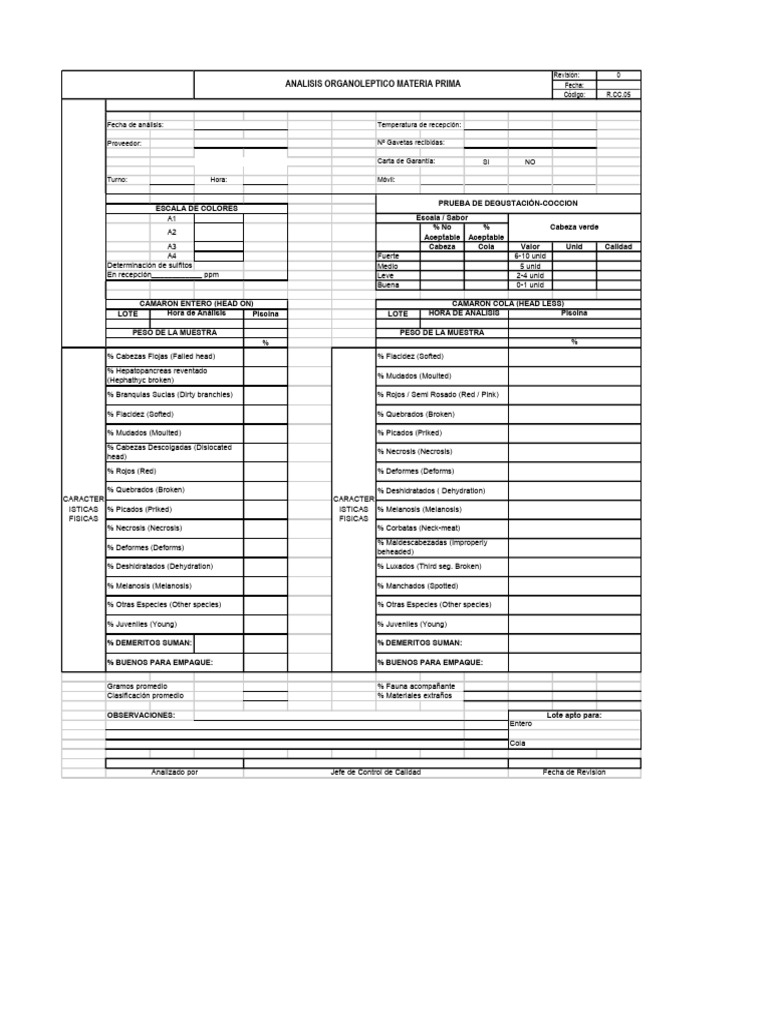 Registro Modelo Rmp | PDF