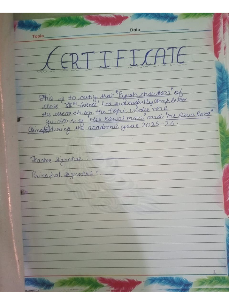 English Project File Class 12, 2025-26 | PDF
