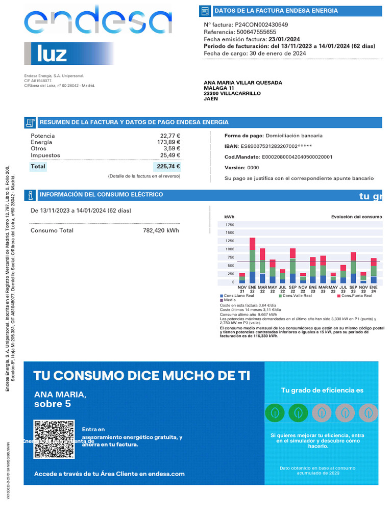 Factura de Endesa: Resumen y Consumo | PDF | Economias