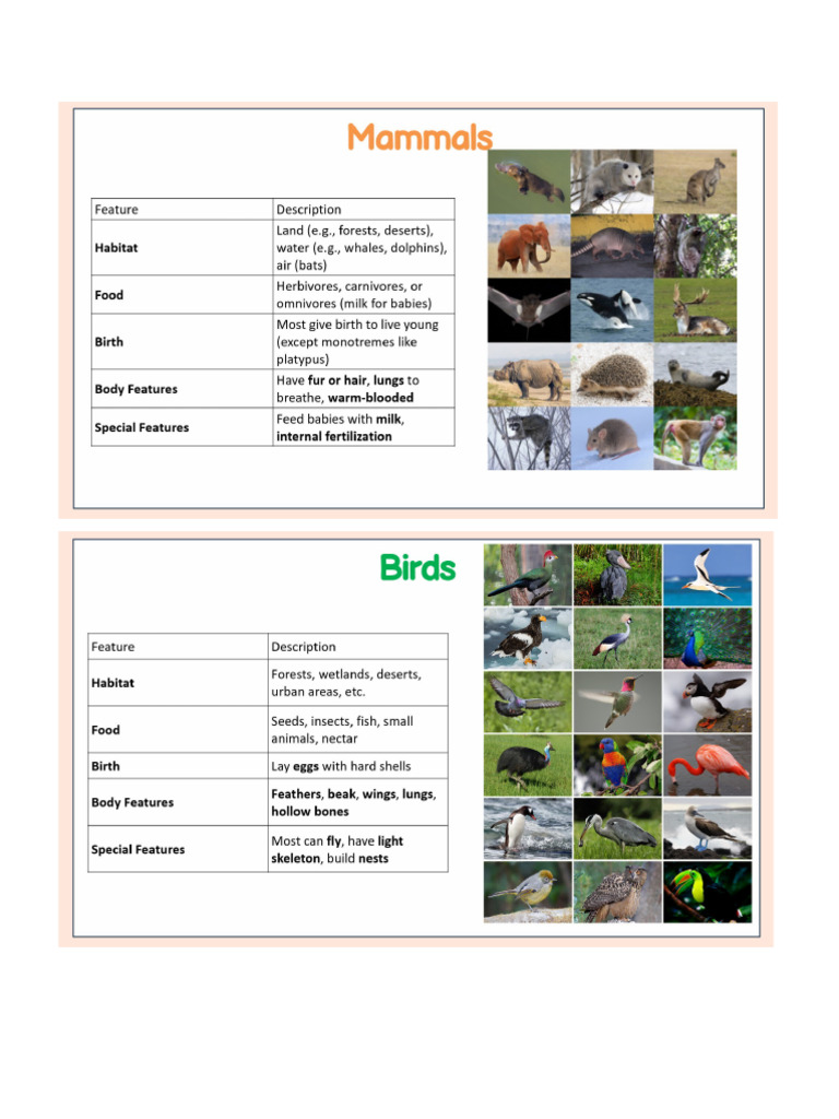 Effective Transition Words Guide | PDF