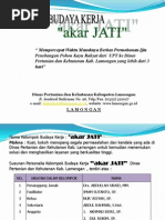 Contoh Berita Acara Pemeriksaan Pekerjaan Contoh Format Berita Acara Penyelesaian Pekerjaan Bapp 