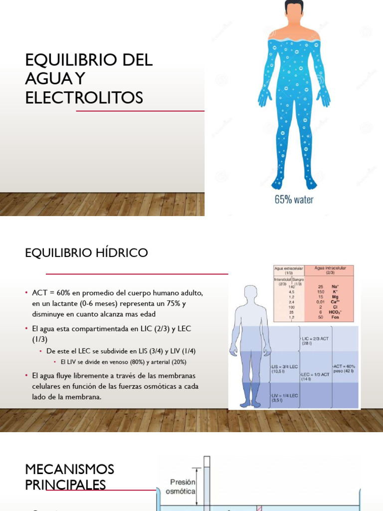 Equilibrio de Agua y Electrolitos en el Cuerpo | PDF | Potasio | Química