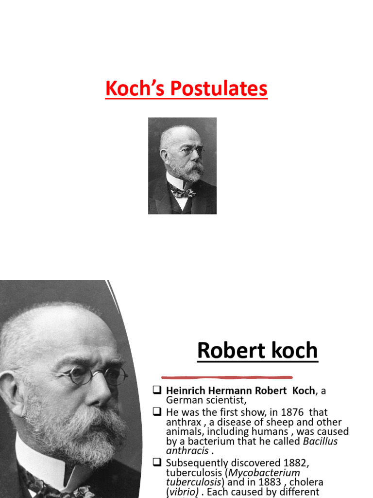Understanding Koch's Postulates Explained | PDF