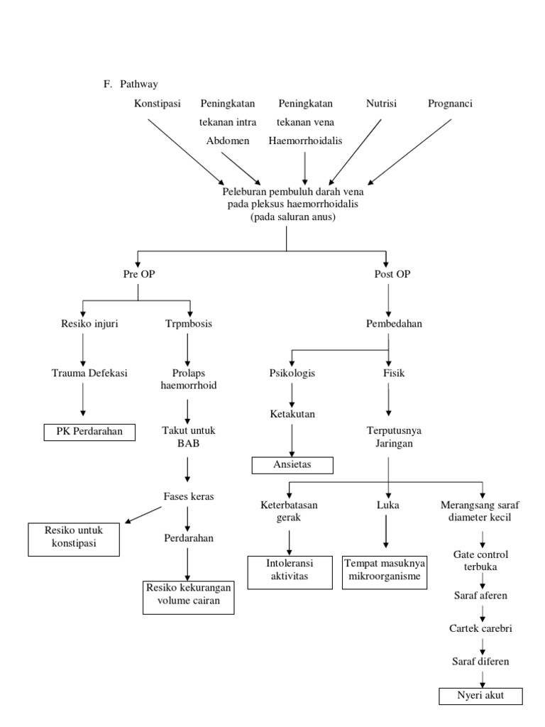 Pathway Hemoroid Pasca Operasi | PDF