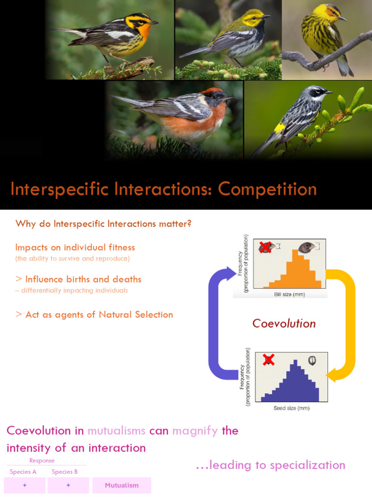 Interspecific Competition and Coevolution | PDF | Ecological Niche ...