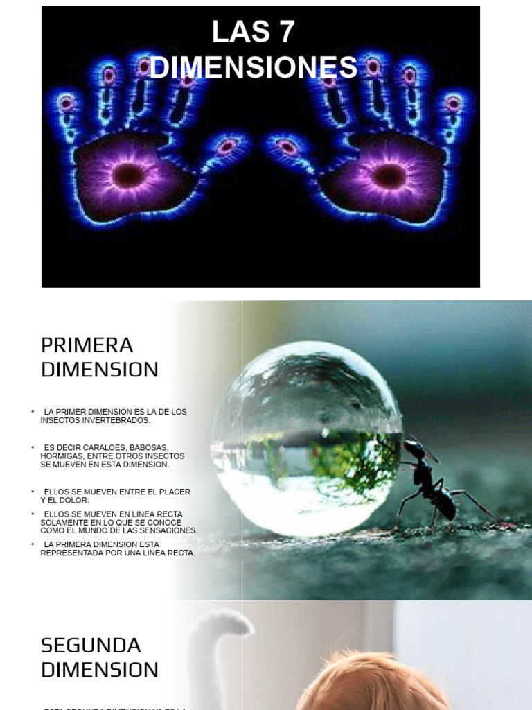 Las 7 Dimensiones de la Existencia | PDF