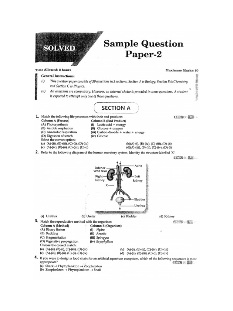 Mock Test - 3 | PDF