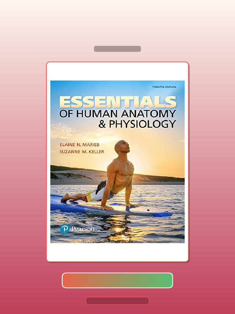 Essentials of Human Anatomy Physiology 12th Edition Ebook Testbank