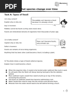 Cleaning Roster | PDF | Room | Manufactured Goods