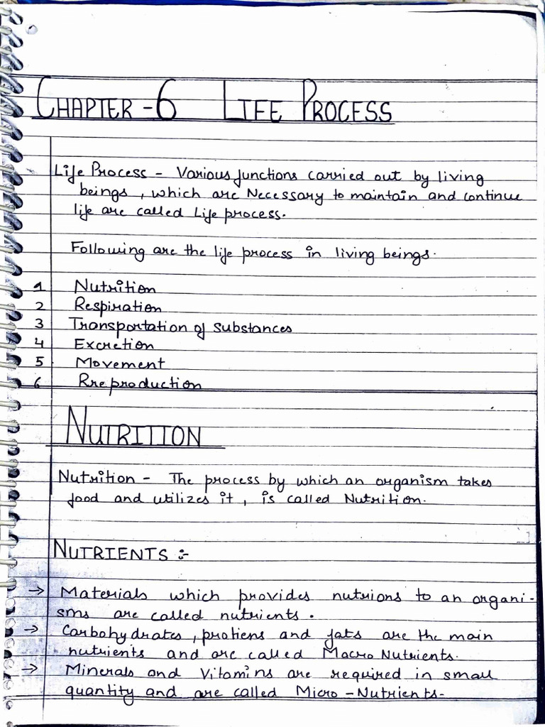 10th Life Process Notes | PDF