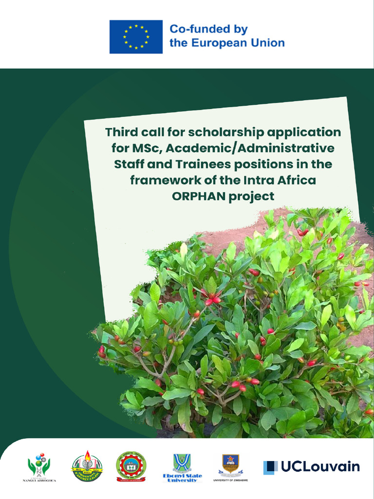 ORPHAN Project Scholarship Applications | PDF | Doctor Of Philosophy ...
