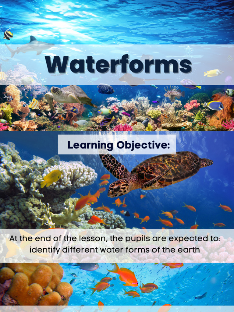 Types of Earth's Waterforms Explained | PDF