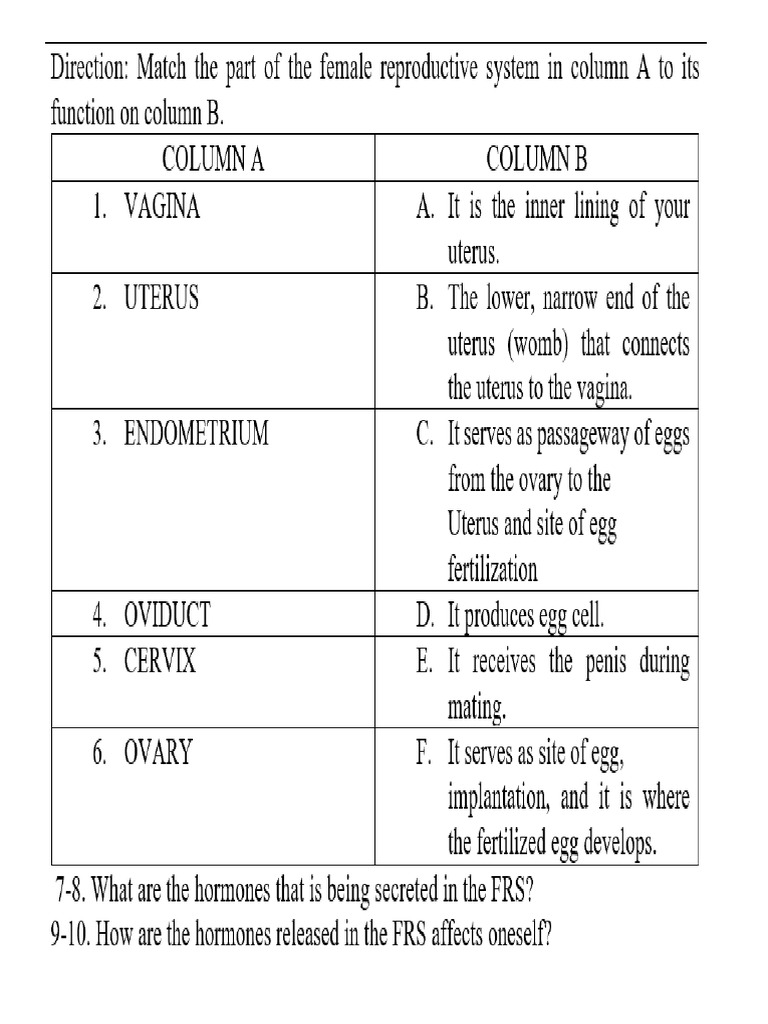 Reproductive System Evaluarion | PDF