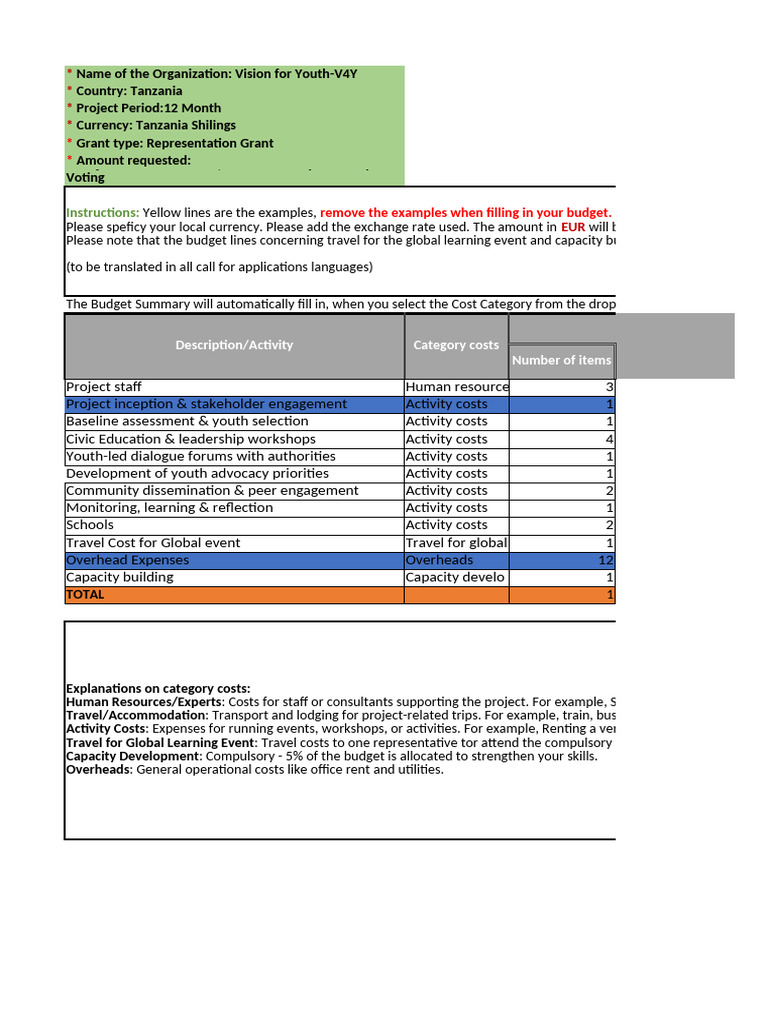 Youth Project Budget Summary Guide | PDF | Budget