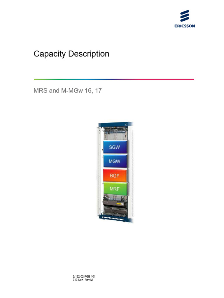 MRS Capcity description | PDF | Voice Over Ip | Telecommunications