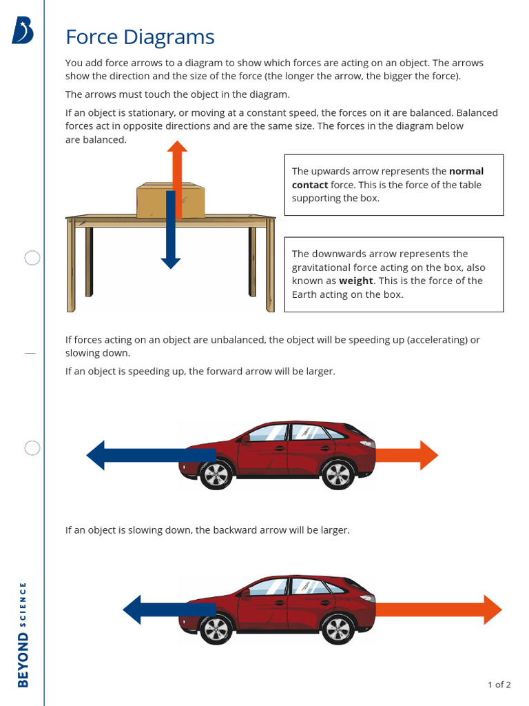 Force Diagrams Worksheet | PDF | Force | Weight