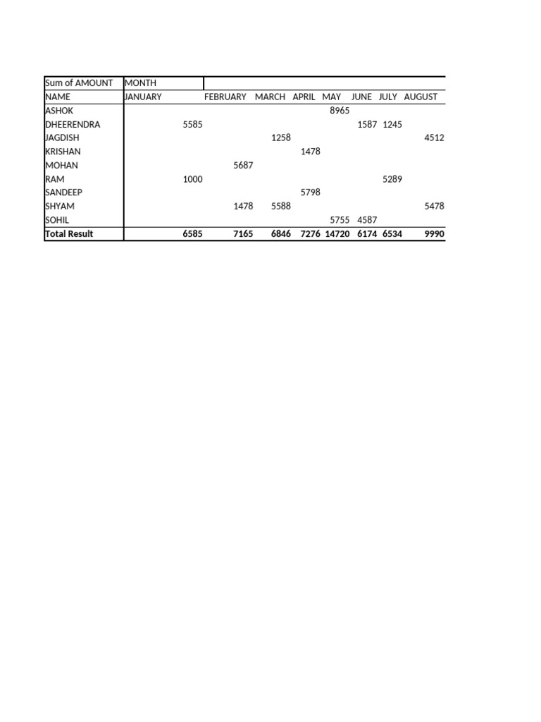 Monthly Amount Summary by Name | PDF
