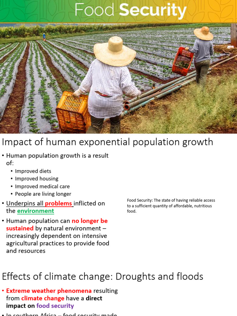 Human Population Growth and Food Security | PDF | Agriculture ...