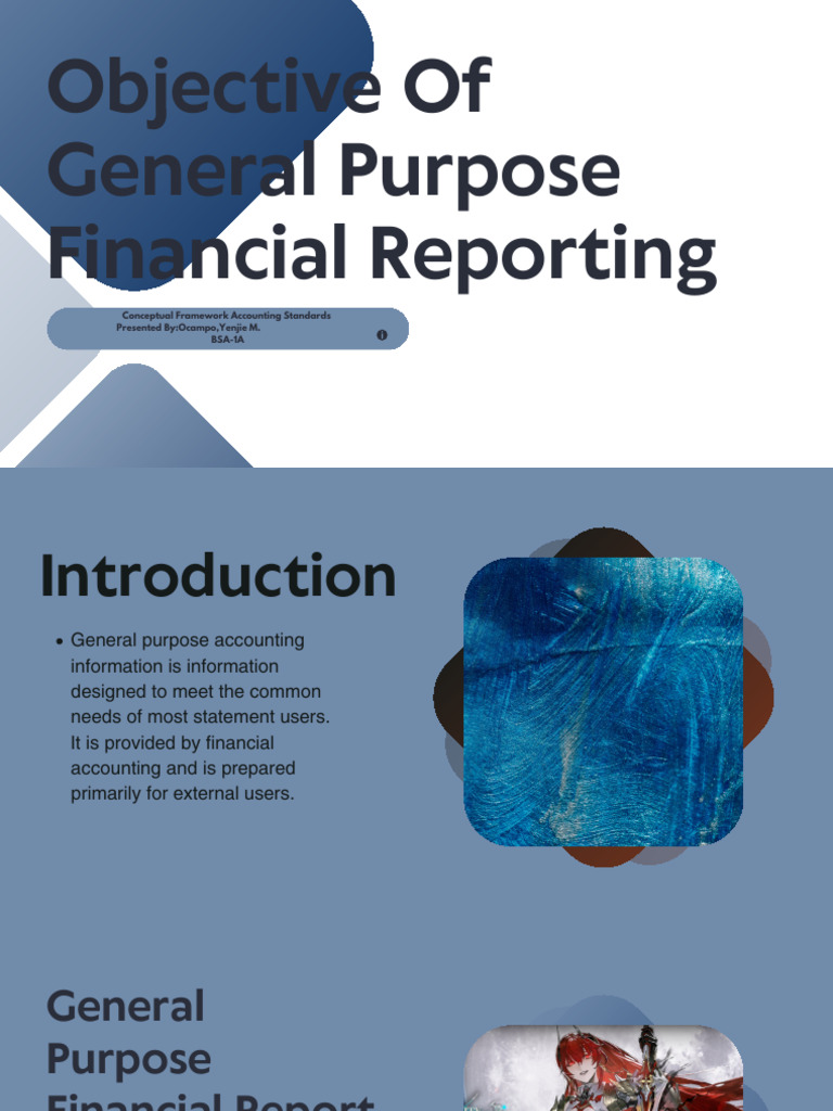 General Purpose Financial Reporting Overview | PDF
