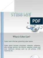 CYBER LAW