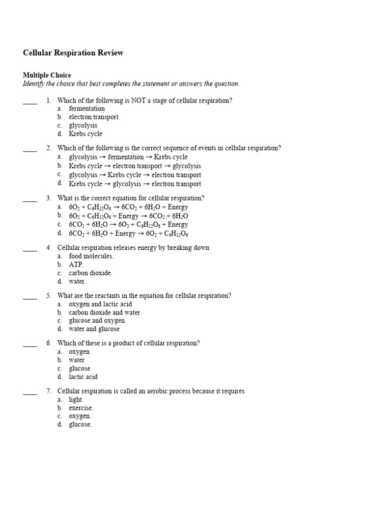 Cellular Respiration Exam Review (1) | PDF | Cellular Respiration ...