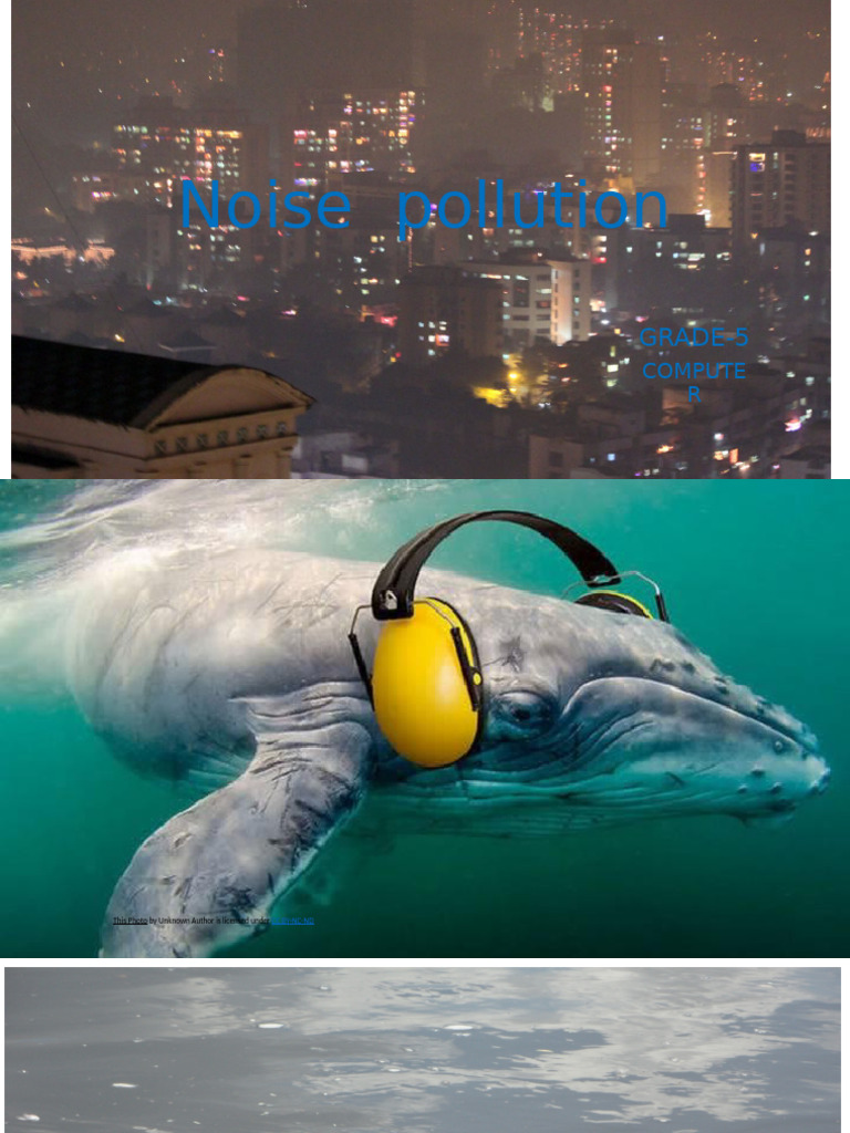 Understanding Noise Pollution Effects | PDF