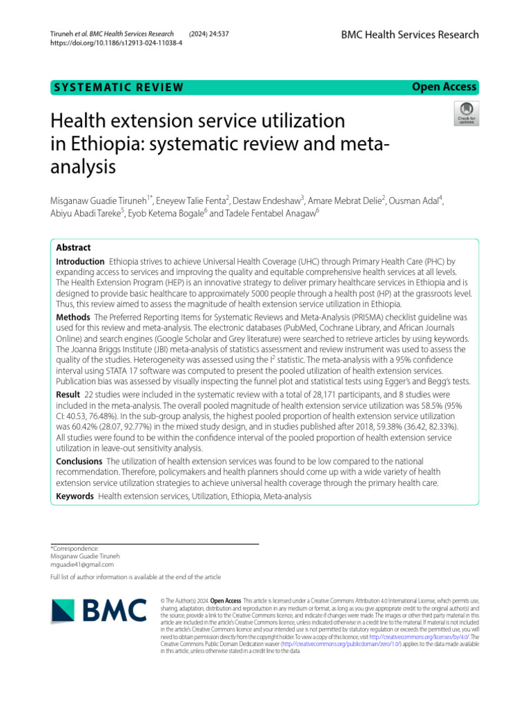 s12913-024-11038-4 | PDF | Systematic Review | Meta Analysis