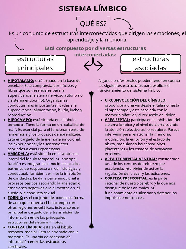 Estructuras del Sistema Límbico y Funciones | PDF | Sistema límbico ...