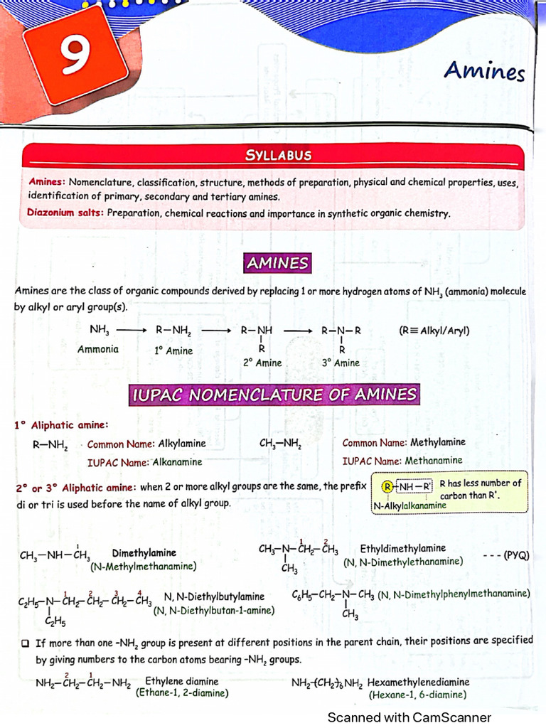 Notes of Amines Class 12 Cbse | PDF
