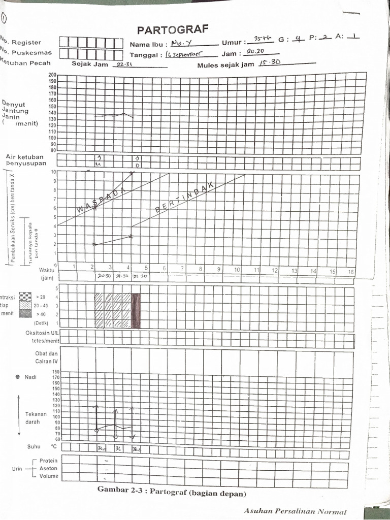 patograf | PDF