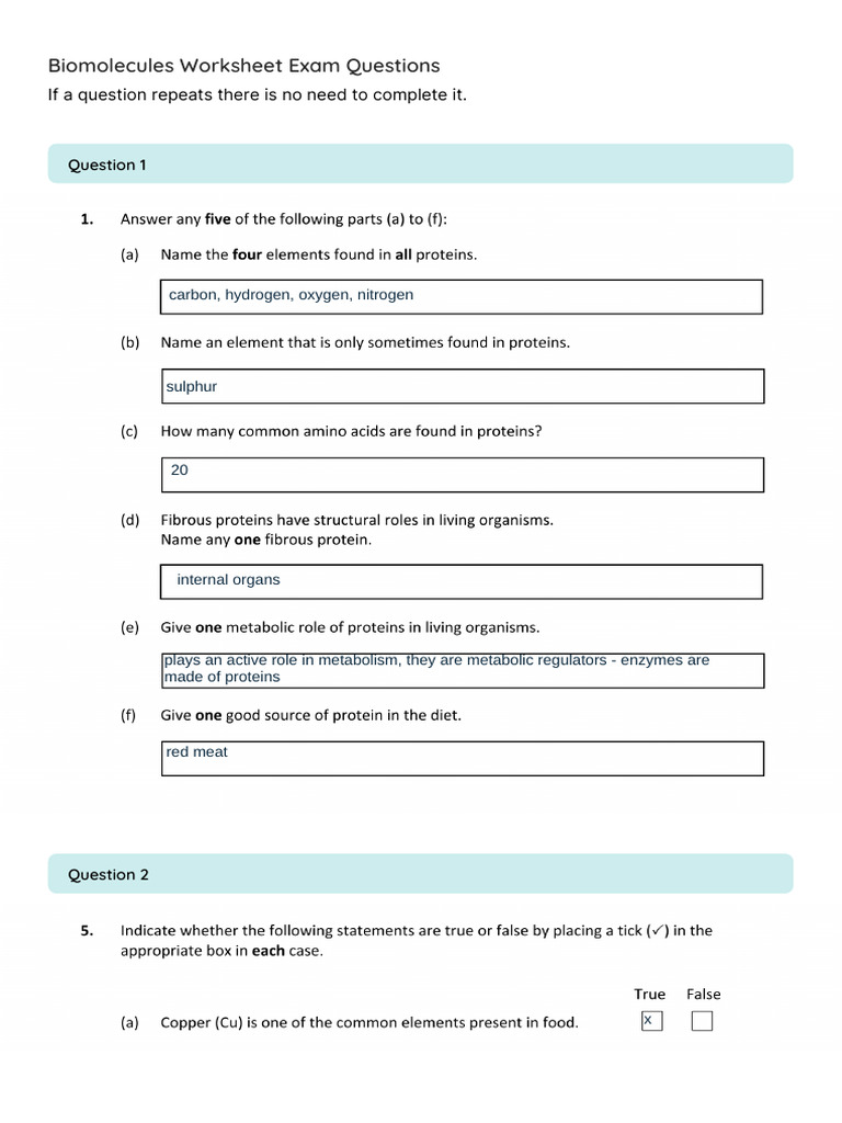 Biomolecules Exam Questions Worksheet | PDF | Metabolism | Biomolecules