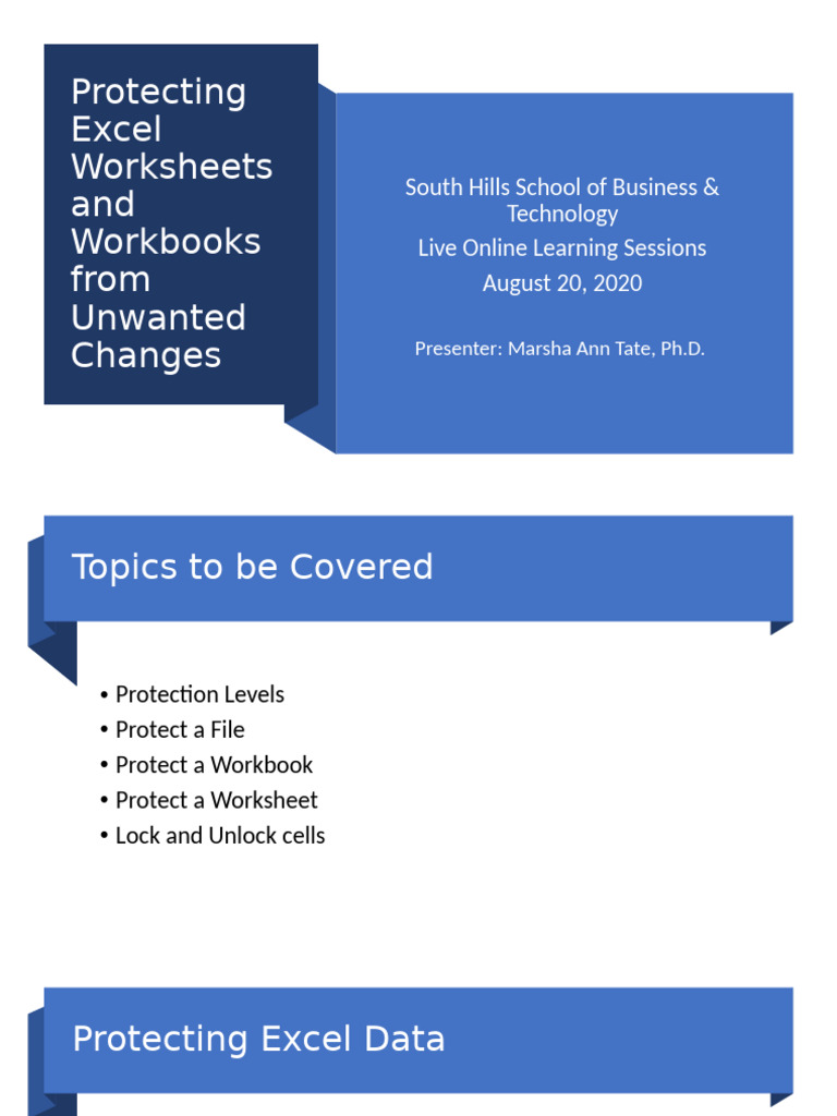 Secure Excel Worksheets & Workbooks | PDF | Microsoft Excel | Password