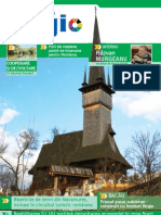 Programul Operational Regional-Revista "Regio" Nr 2-2011 