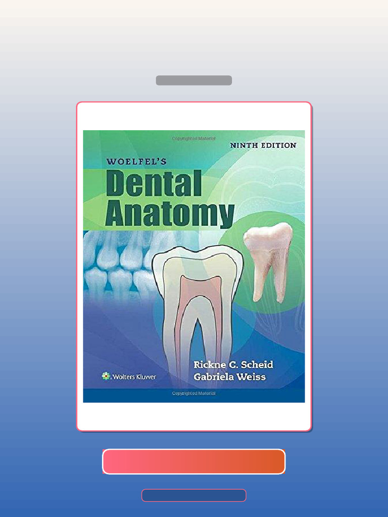 Woelfels Dental Anatomy Ninth Edition E-book Testbank Solutions | PDF ...