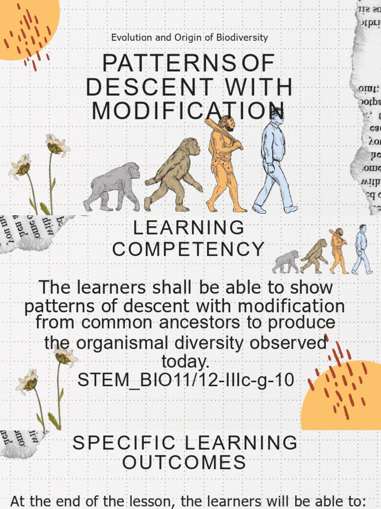 Evolution and Speciation Mechanisms | PDF | Hybrid (Biology) | Species
