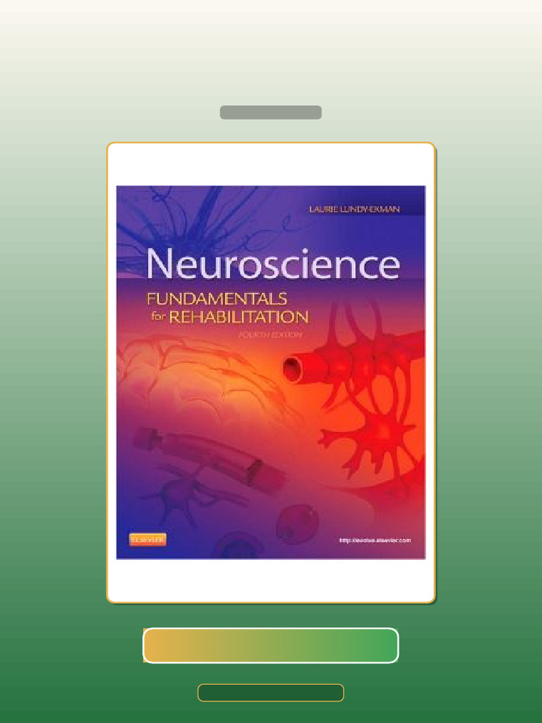 Neuroscience Fundamentals for Rehabilitation 4th Edition E-book ...