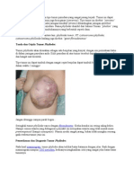 Piloides Tumor