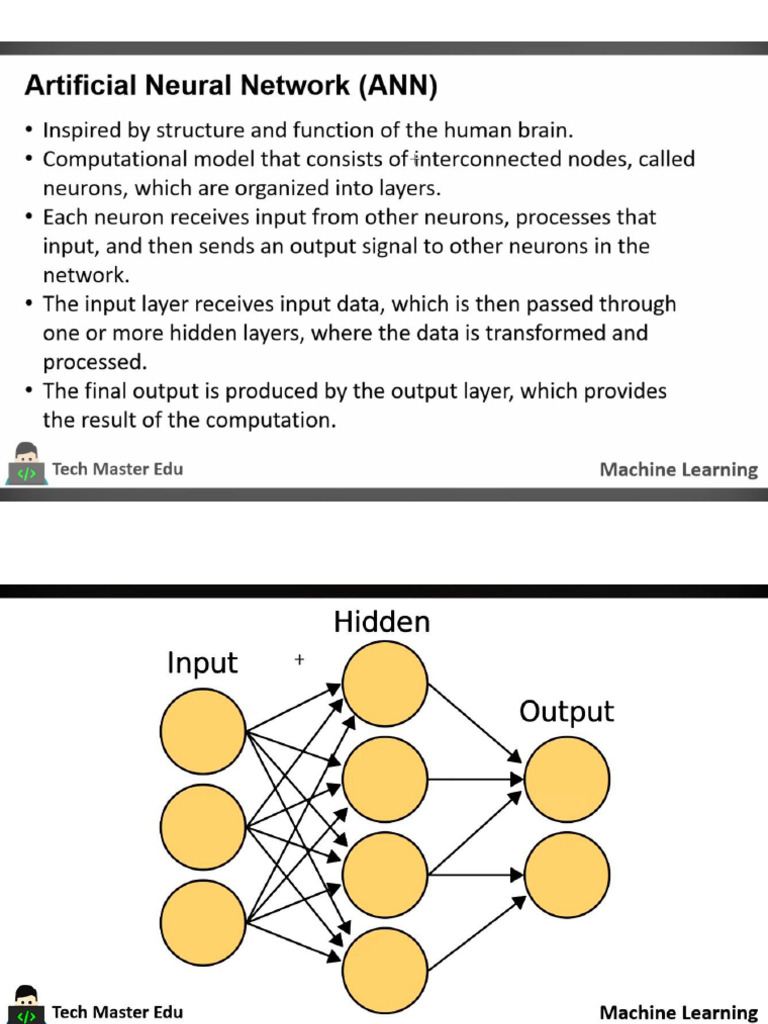 MLT UNIT 4 & 5 | PDF