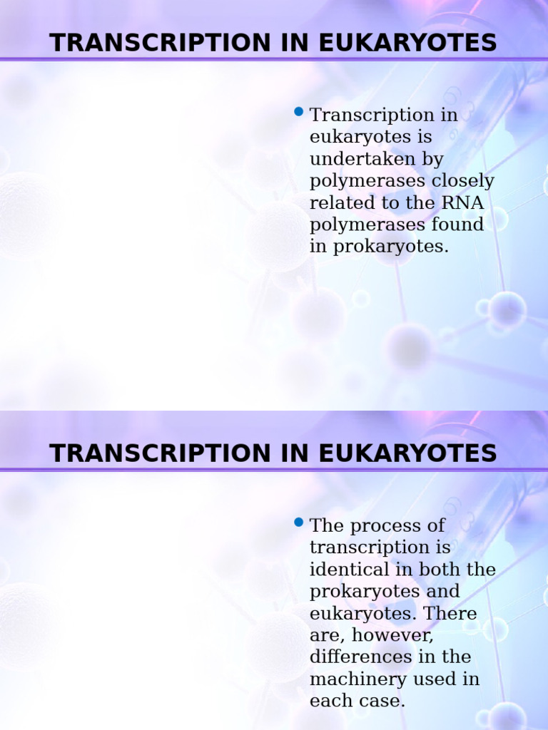 Eukaryotic Transcription Mechanisms Explained | PDF | Promoter ...