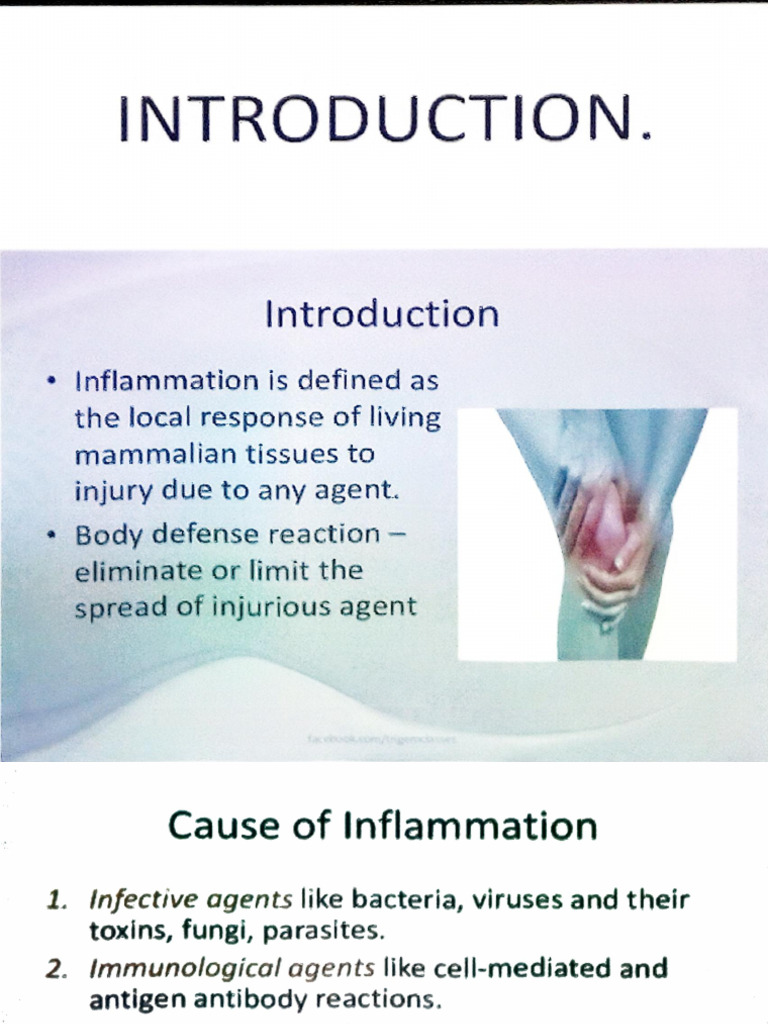 Inflammation 1 SB Sir | PDF